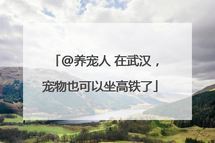 @养宠人 在武汉，宠物也可以坐高铁了