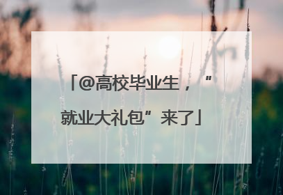 @高校毕业生，“就业大礼包”来了