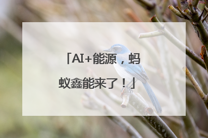 AI+能源，蚂蚁鑫能来了！