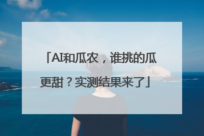 AI和瓜农，谁挑的瓜更甜？实测结果来了