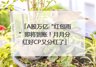 A股万亿“红包雨”即将到账！月月分红好CP又分红了