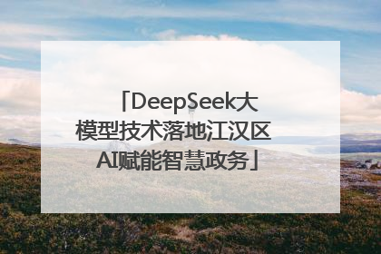 DeepSeek大模型技术落地江汉区 AI赋能智慧政务