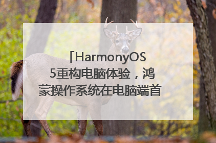 HarmonyOS 5重构电脑体验，鸿蒙操作系统在电脑端首次亮相丨新经济观察